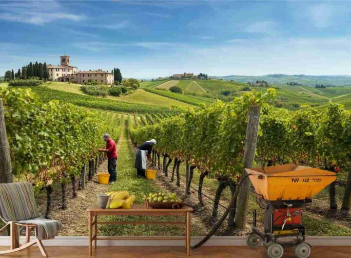 UIV sollecita una revisione tempestiva del Testo Unico del Vino per un futuro migliore