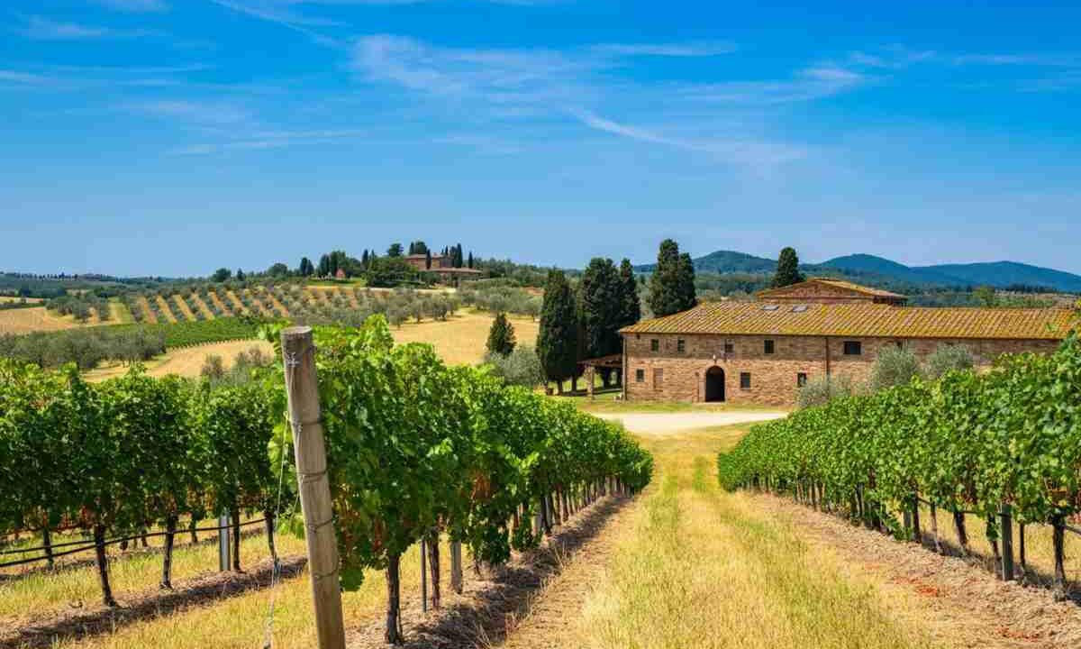 Umani Ronchi sbarca nella distribuzione con la nuova nicchia Davantage