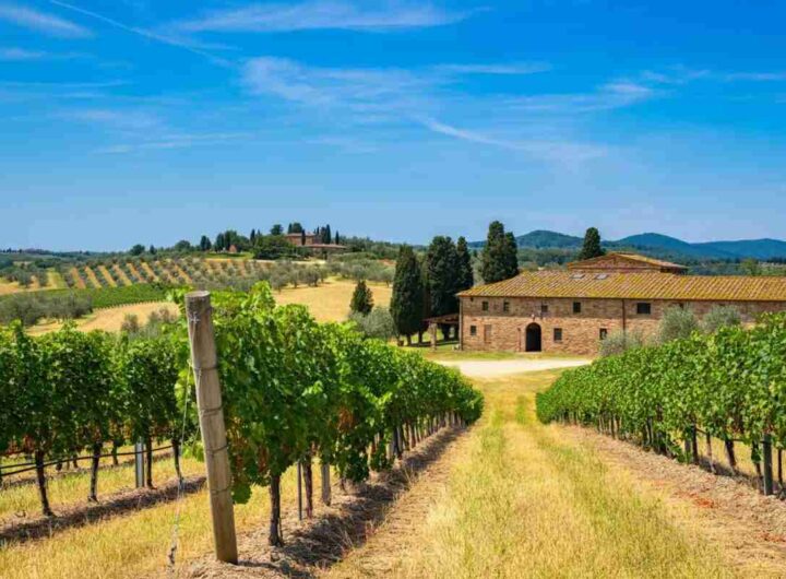 Umani Ronchi sbarca nella distribuzione con la nuova nicchia Davantage