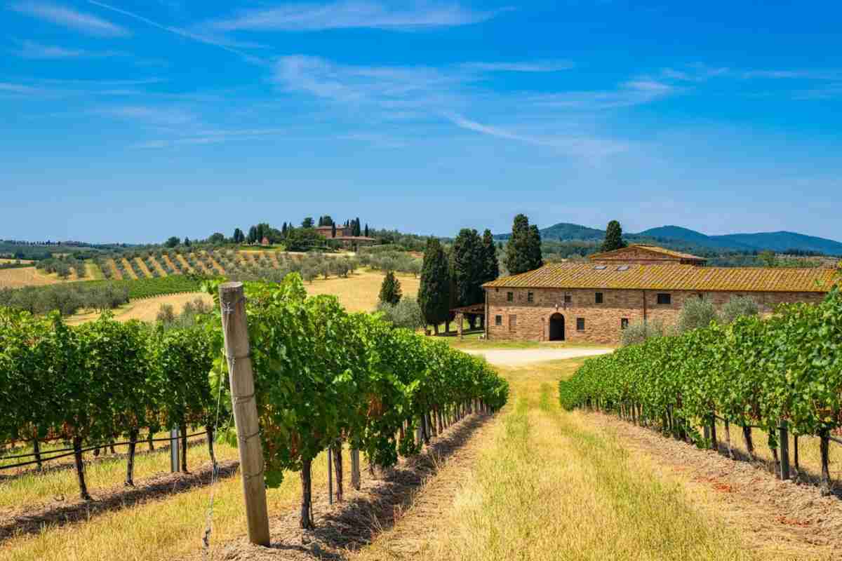 Umani Ronchi sbarca nella distribuzione con la nuova nicchia Davantage