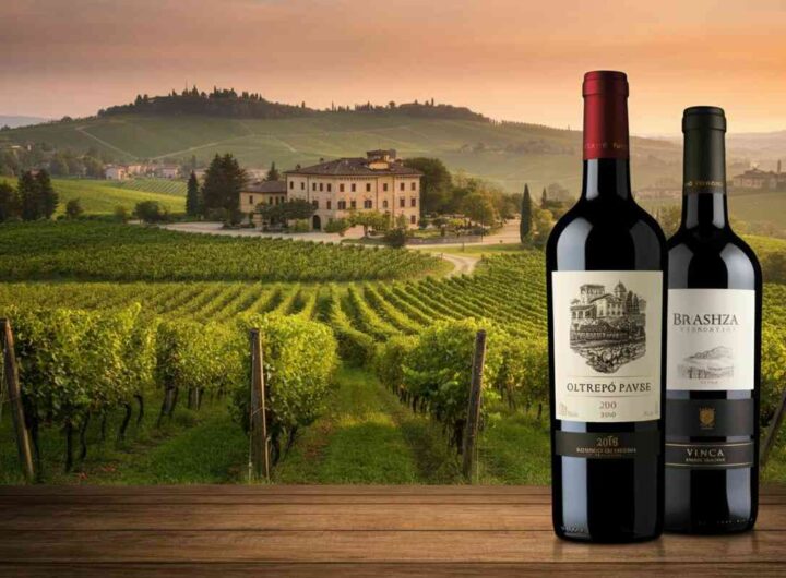 Un nuovo volto per Tenuta Travaglino: il restyling di logo ed etichette