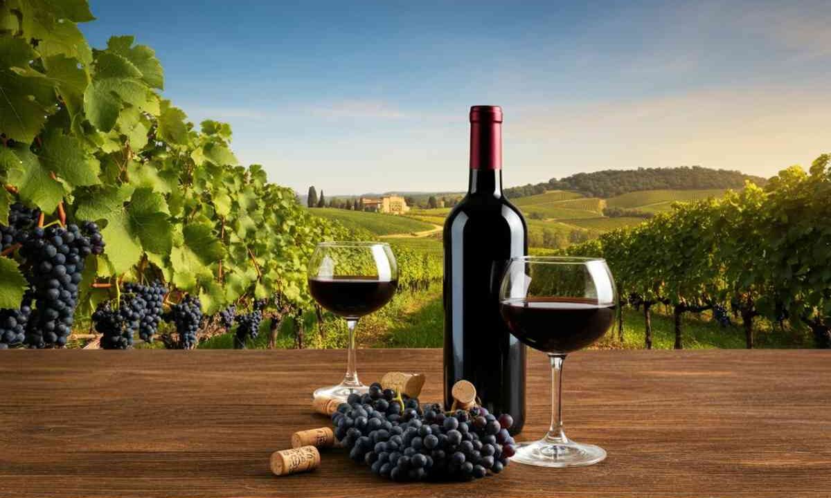 Un viaggio a fumetti attraverso 10.000 anni di storia del vino