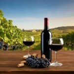 Un viaggio a fumetti attraverso 10.000 anni di storia del vino
