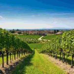 Unione innovativa: Cantina Valpantena e Cantina di Custoza si fondono per un futuro vinicolo straordinario