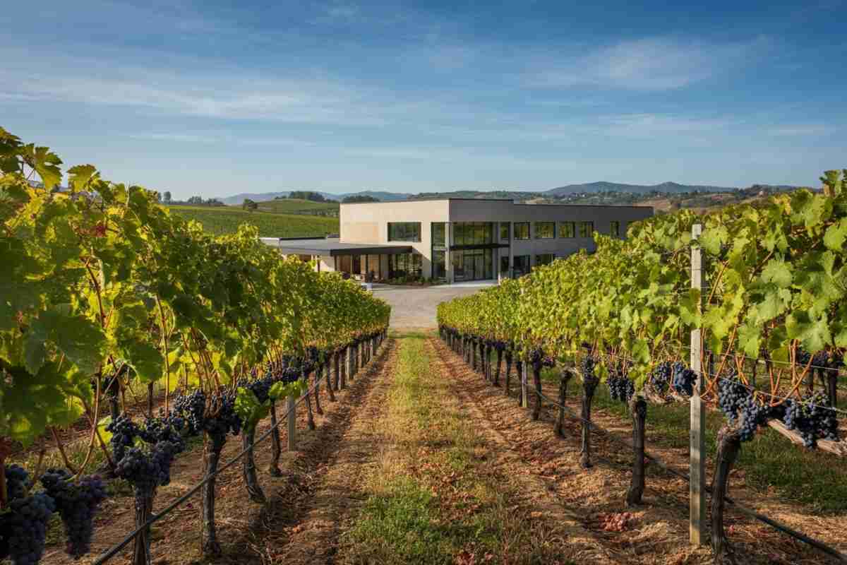 Università di Pisa: innovazione nella vinificazione con la macerazione ad azoto per il vino novello