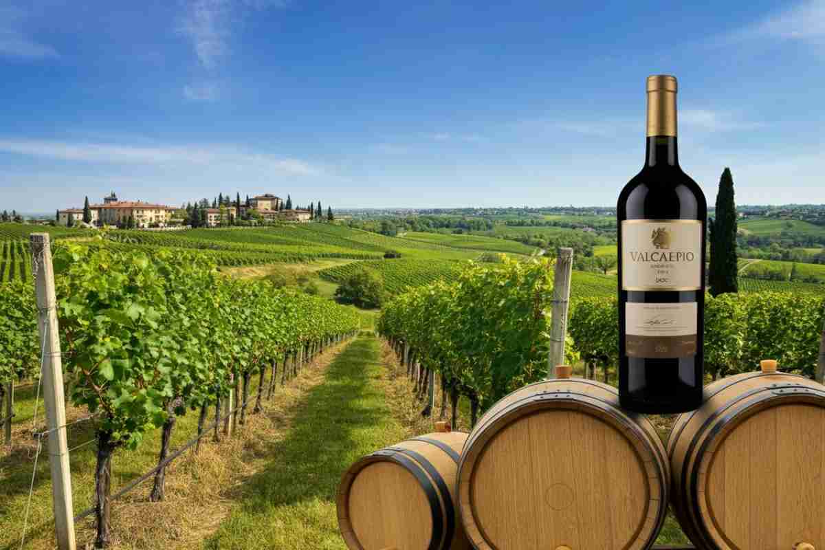 Valcalepio DOC: le nuove modifiche che rivoluzionano il disciplinare