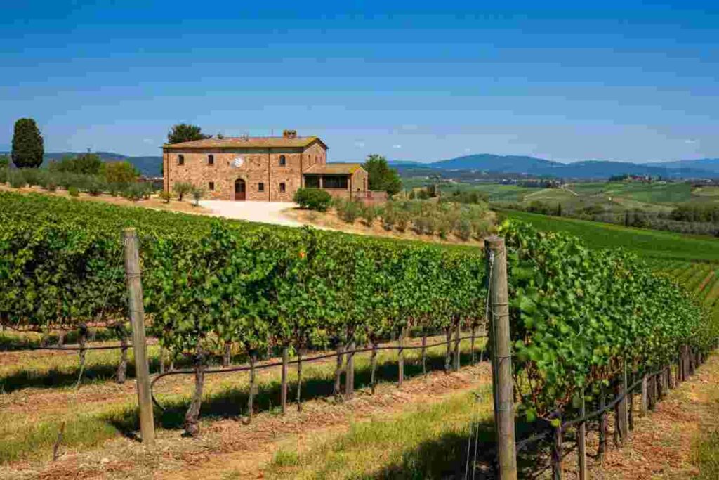 Vallepicciola acquisisce una quota di minoranza in Balan: un passo strategico tra produzione e distribuzione