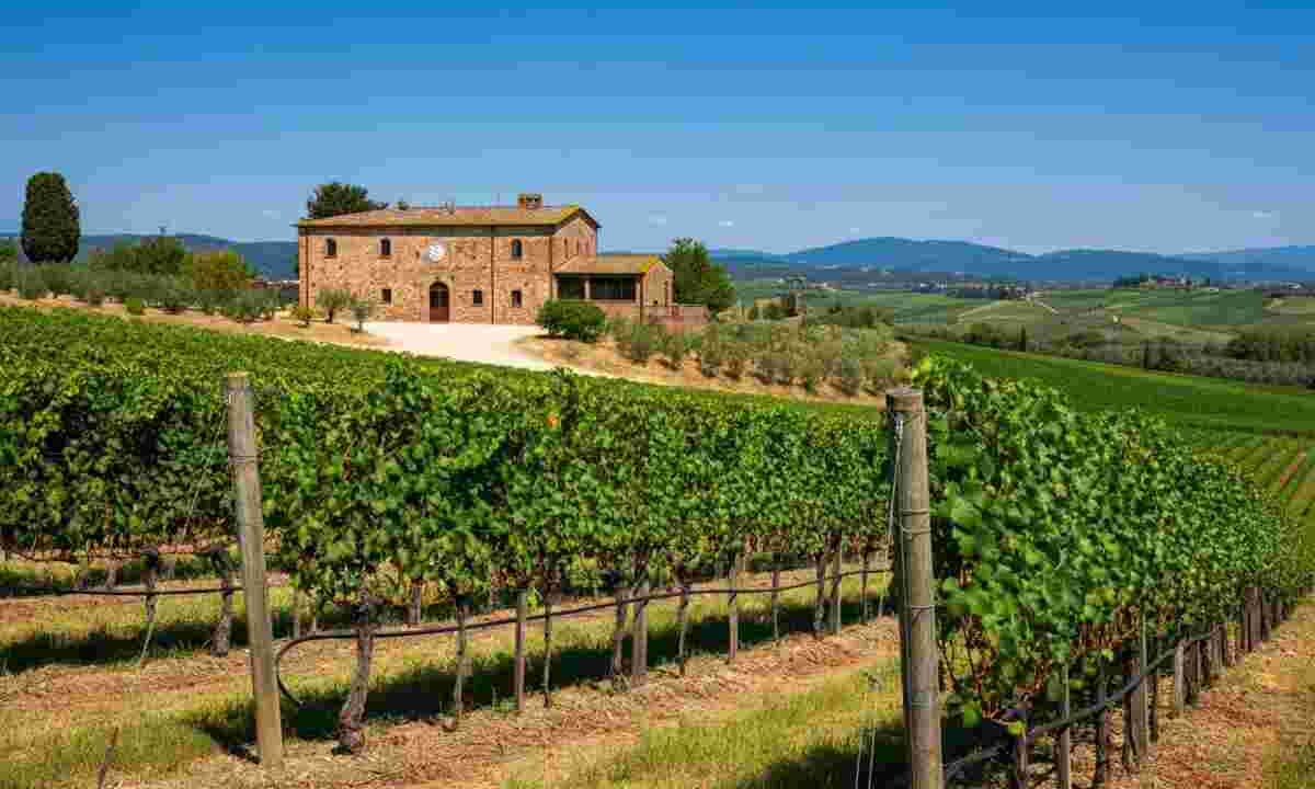 Vallepicciola acquisisce una quota di minoranza in Balan: un passo strategico tra produzione e distribuzione