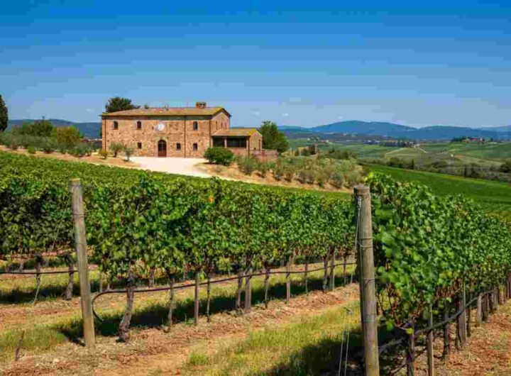 Vallepicciola acquisisce una quota di minoranza in Balan: un passo strategico tra produzione e distribuzione