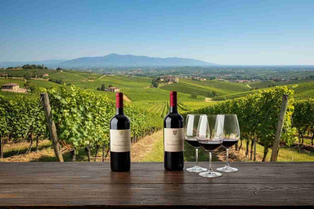 Valpolicella Annual Conference: come il Covid ha trasformato l'export del vino