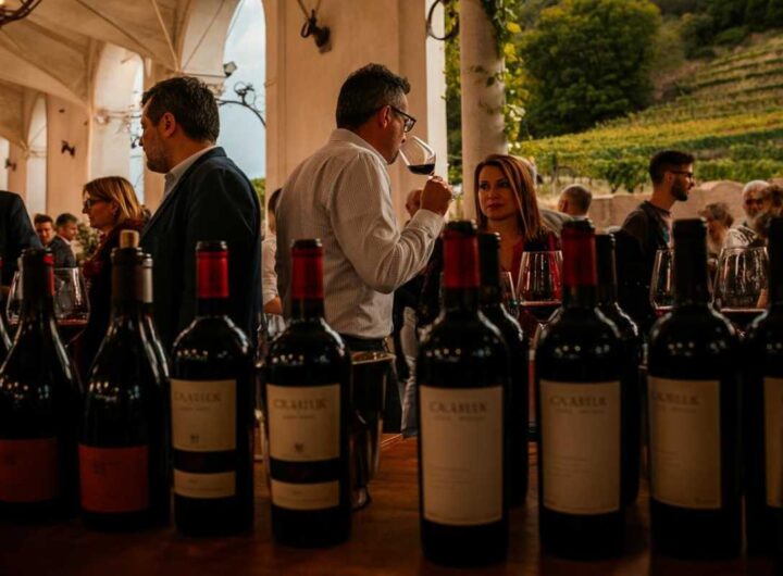 Valpolicella celebra il gran finale di “Venezia Superiore” con un evento imperdibile