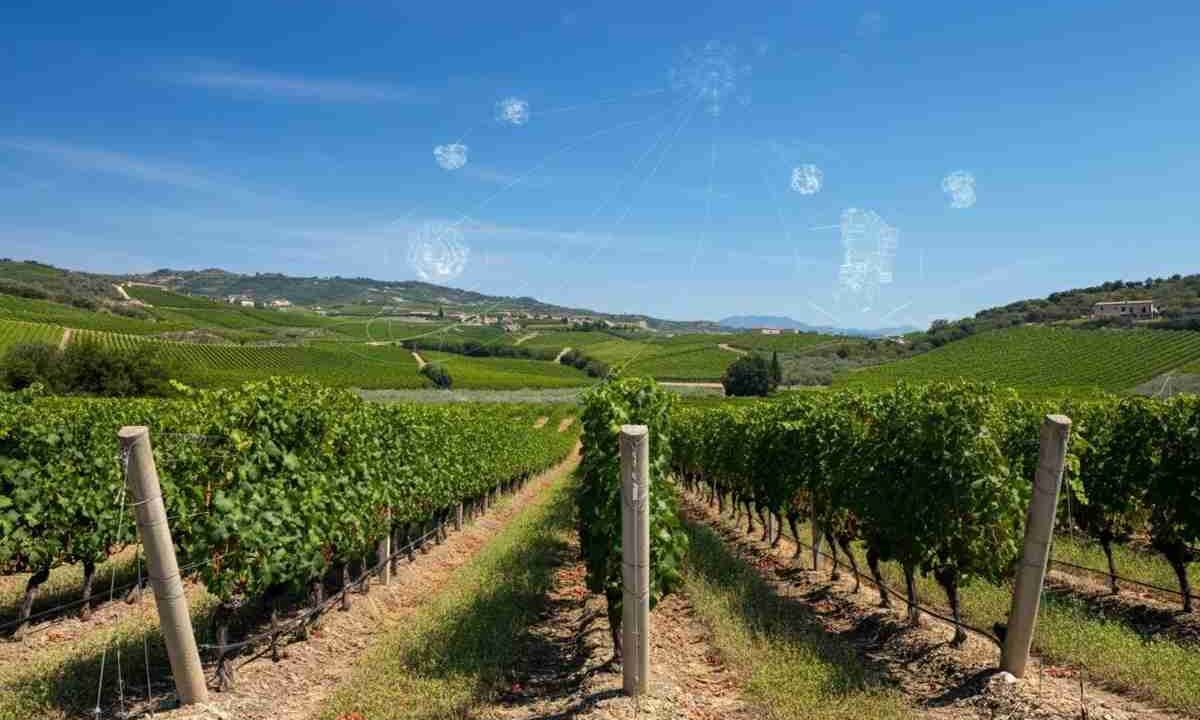 Venosa in vetrina a Vinitaly: scoperte uniche dal mare al cielo