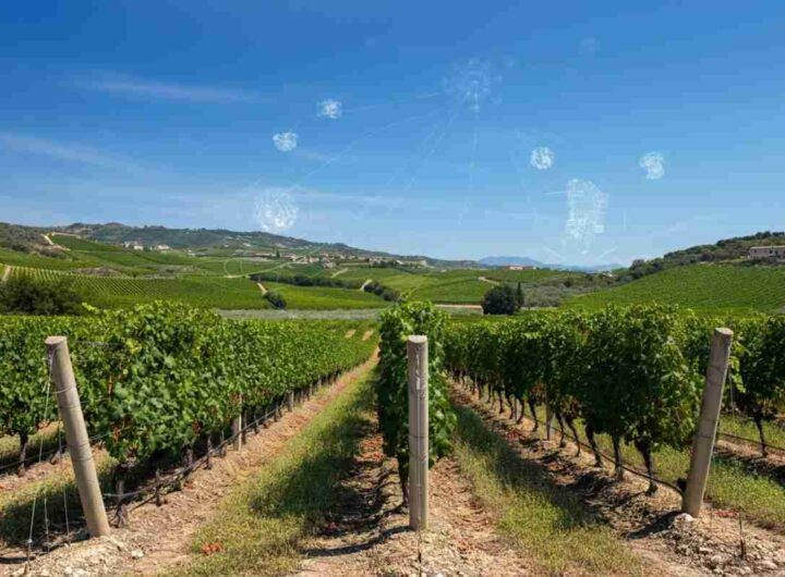 Venosa in vetrina a Vinitaly: scoperte uniche dal mare al cielo