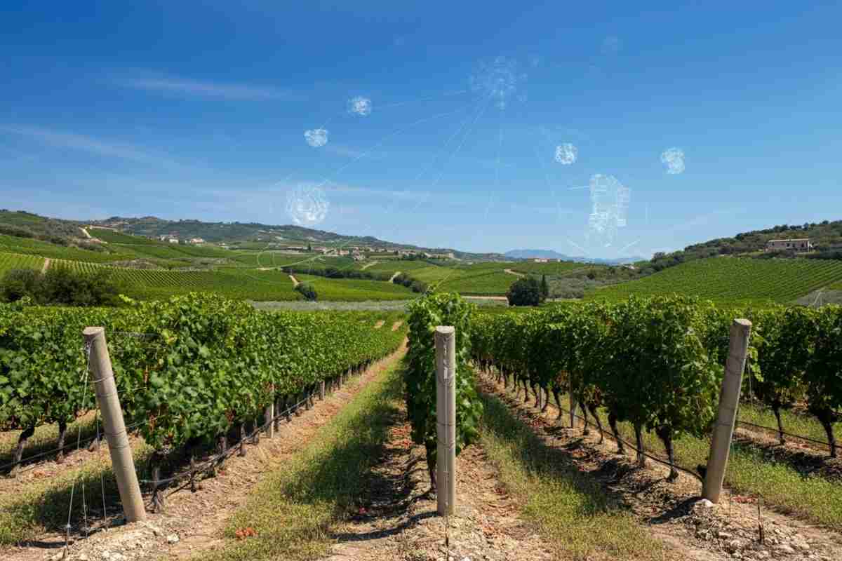 Venosa in vetrina a Vinitaly: scoperte uniche dal mare al cielo