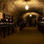 Vent'anni di Erminia Segalla: un viaggio nel tempo con Pisoni