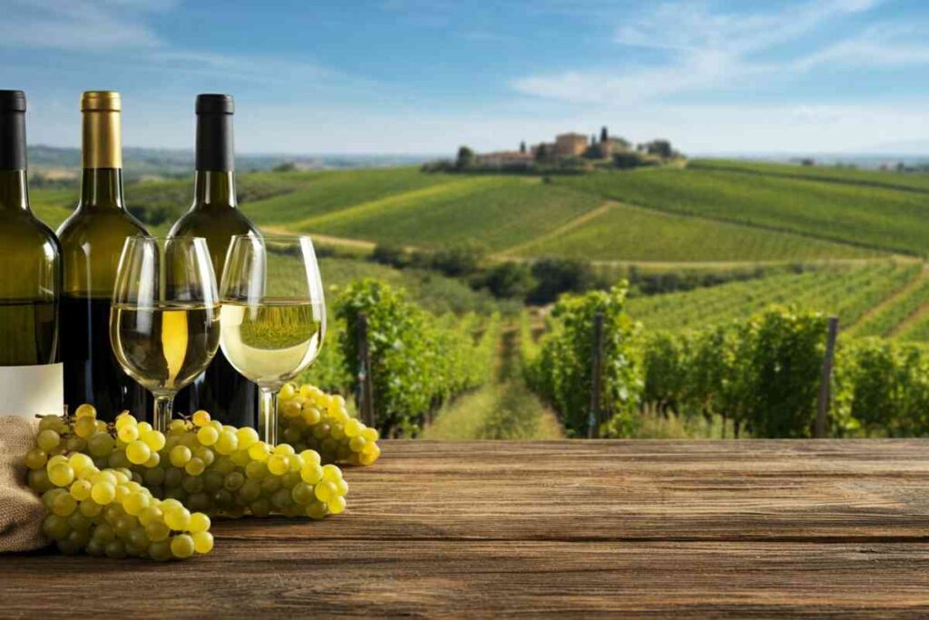 Vinarius svela l'estate del vino: trionfo dei bianchi fermi e calo dei rosati