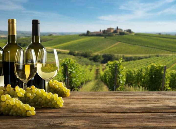 Vinarius svela l'estate del vino: trionfo dei bianchi fermi e calo dei rosati