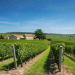 Vincent Morey e Sophie: scoprire il tesoro del terroir