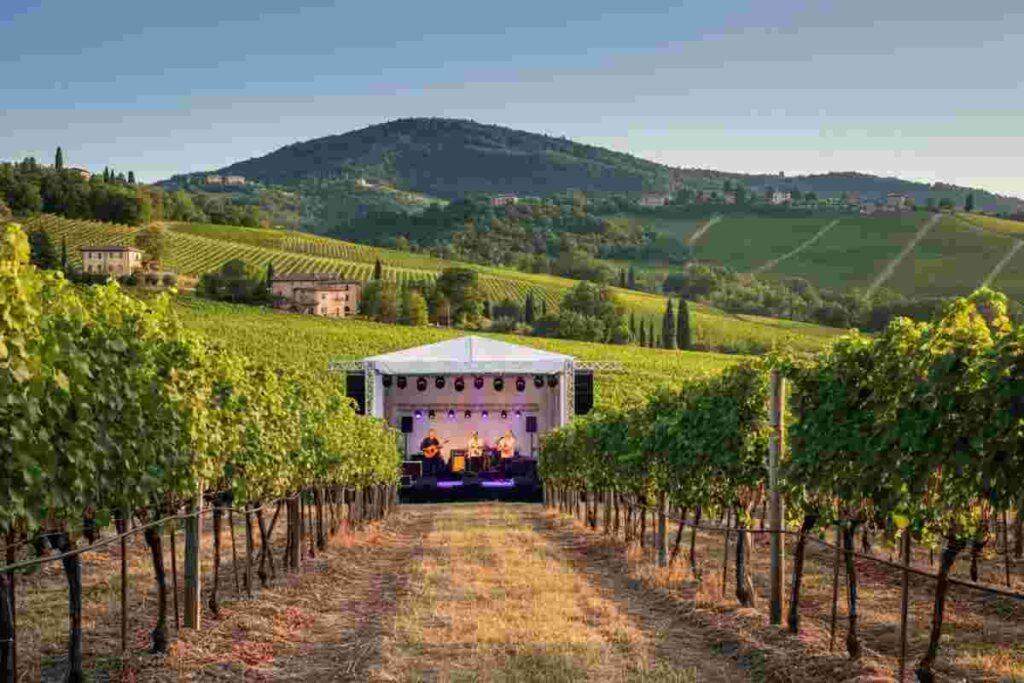 Vini pregiati e melodie d'autore: l'estate nei territori vinicoli italiani