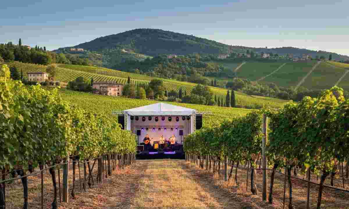 Vini pregiati e melodie d'autore: l'estate nei territori vinicoli italiani