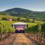 Vini pregiati e melodie d'autore: l'estate nei territori vinicoli italiani