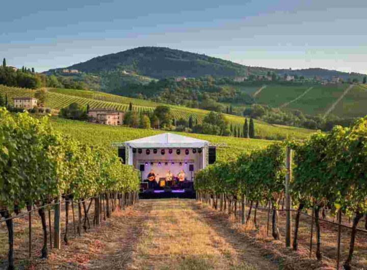 Vini pregiati e melodie d'autore: l'estate nei territori vinicoli italiani