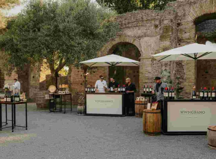Vinitaly and the City 2025: un viaggio nel vino calabrese