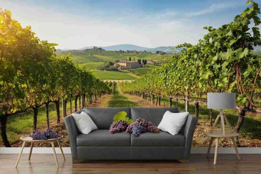 Vino in crisi: misure in vista, ma i dati devono essere confermati