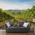 Vino in crisi: misure in vista, ma i dati devono essere confermati