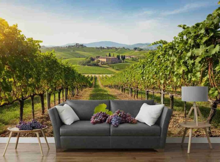 Vino in crisi: misure in vista, ma i dati devono essere confermati