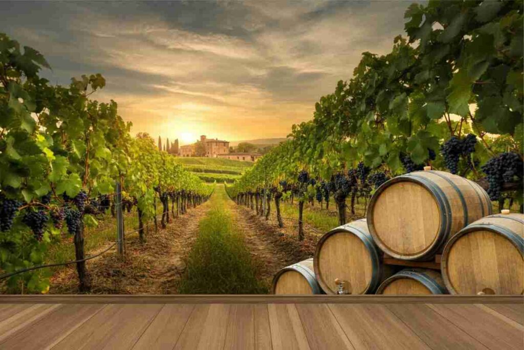 Vino italiano in sfida: l'UE sotto pressione dai dazi USA e nuove opportunità di mercato