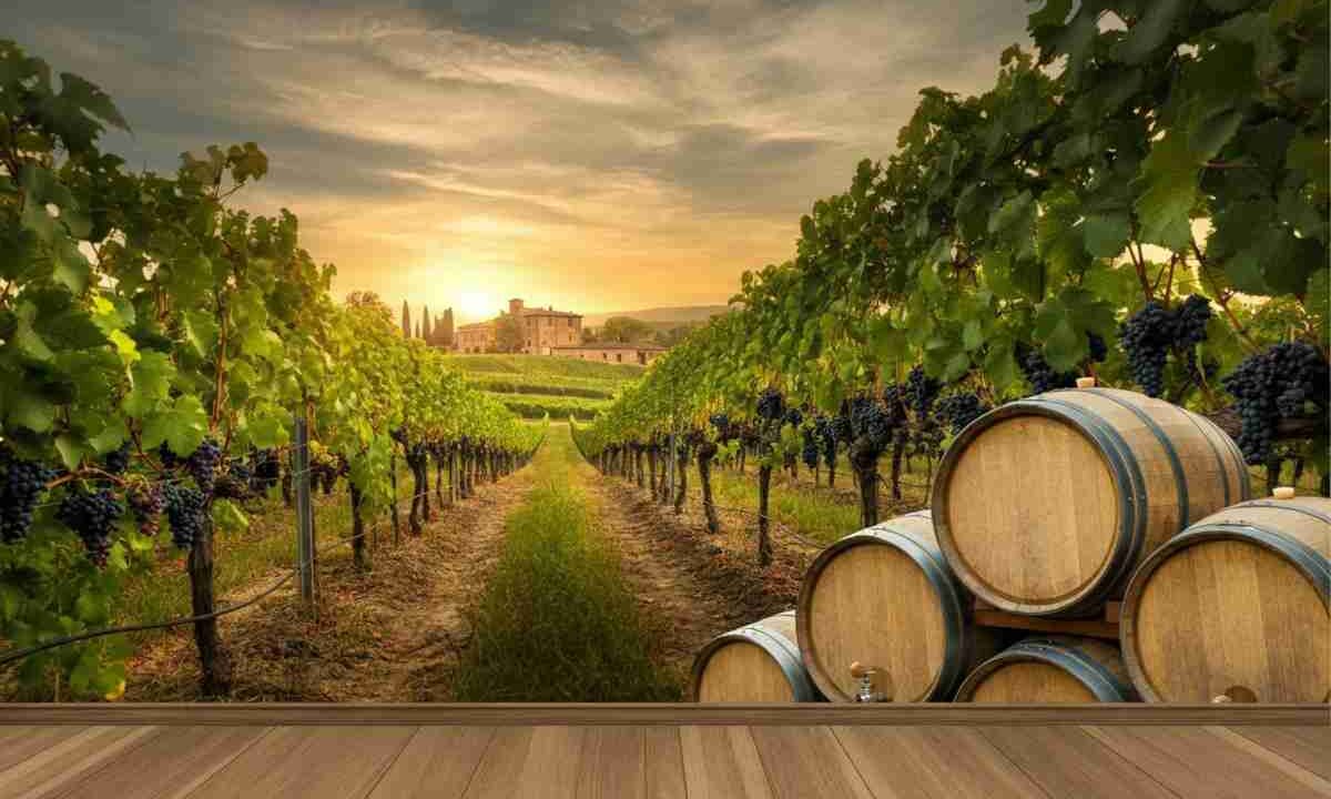 Vino italiano in sfida: l'UE sotto pressione dai dazi USA e nuove opportunità di mercato