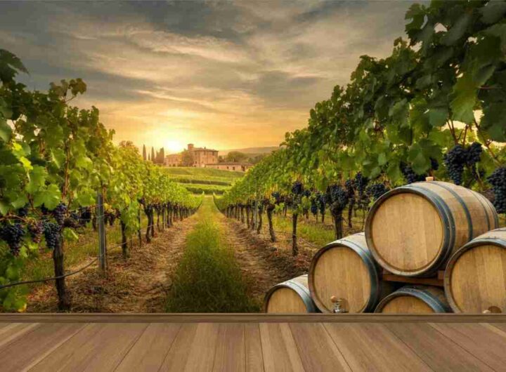 Vino italiano in sfida: l'UE sotto pressione dai dazi USA e nuove opportunità di mercato