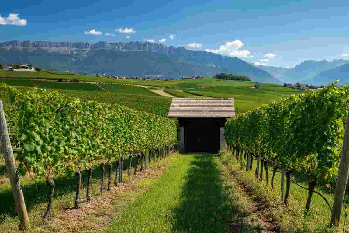 Alois Lageder conquista nuovi premi dalle guide eno-gastronomiche italiane