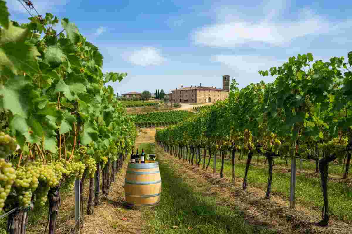 Ampelio Bucci: il pioniere del Verdicchio ci lascia, ma il suo legato vive