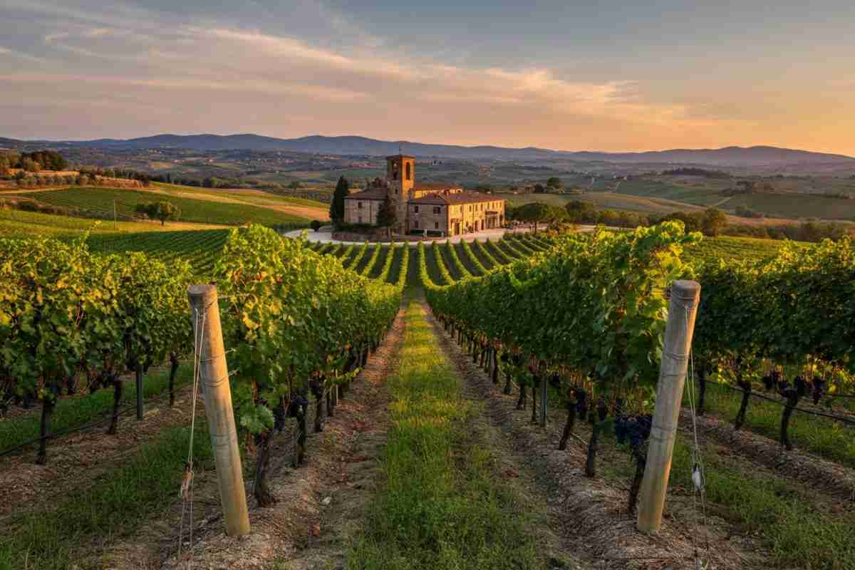 Attentato alla cultura del vino italiano: Montalcino sotto attacco