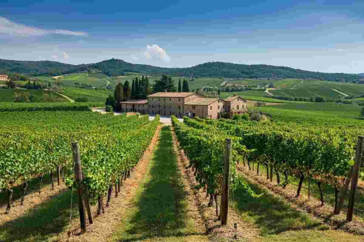 Basile riconfermato alla guida del Consorzio Tutela Vini Montecucco: cosa cambia per il futuro del vino?