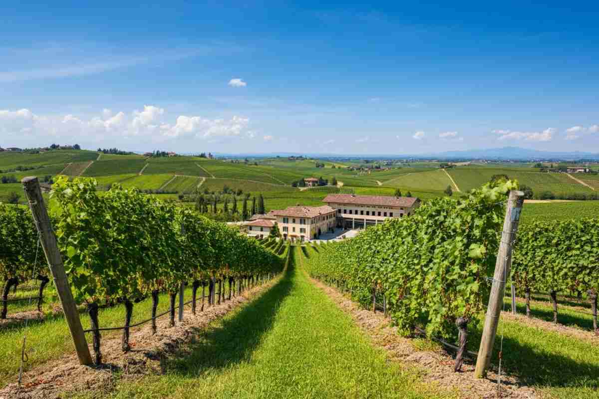 Ca’d’gal svela i suoi ambiziosi progetti al Vinitaly
