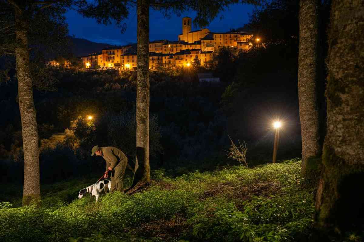 Capodanno del Tartufo: un viaggio affascinante nella stagione della cerca