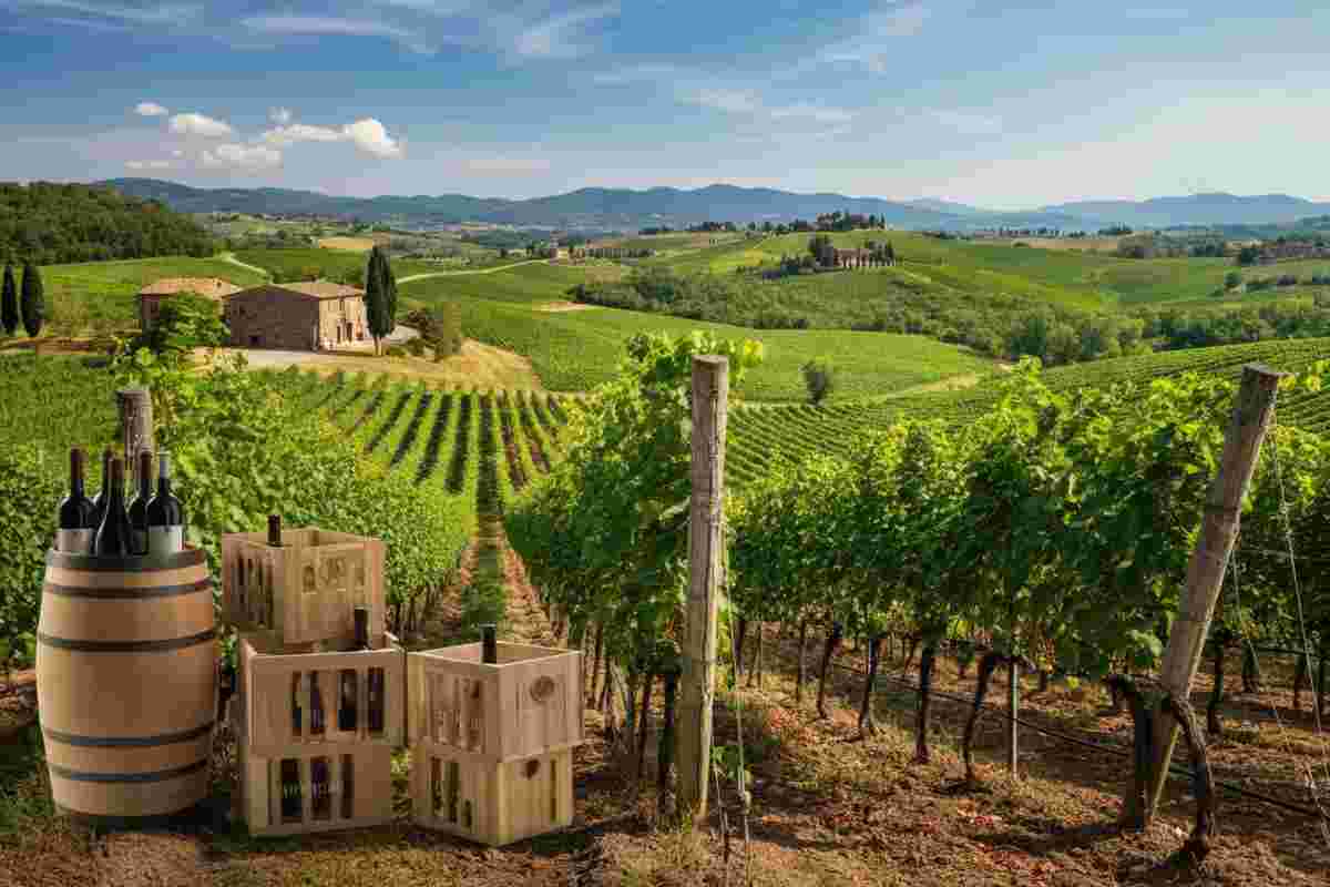 Carratelli Wine avverte: il futuro delle fasce medie e basse è a rischio, ma il mercato resisterà