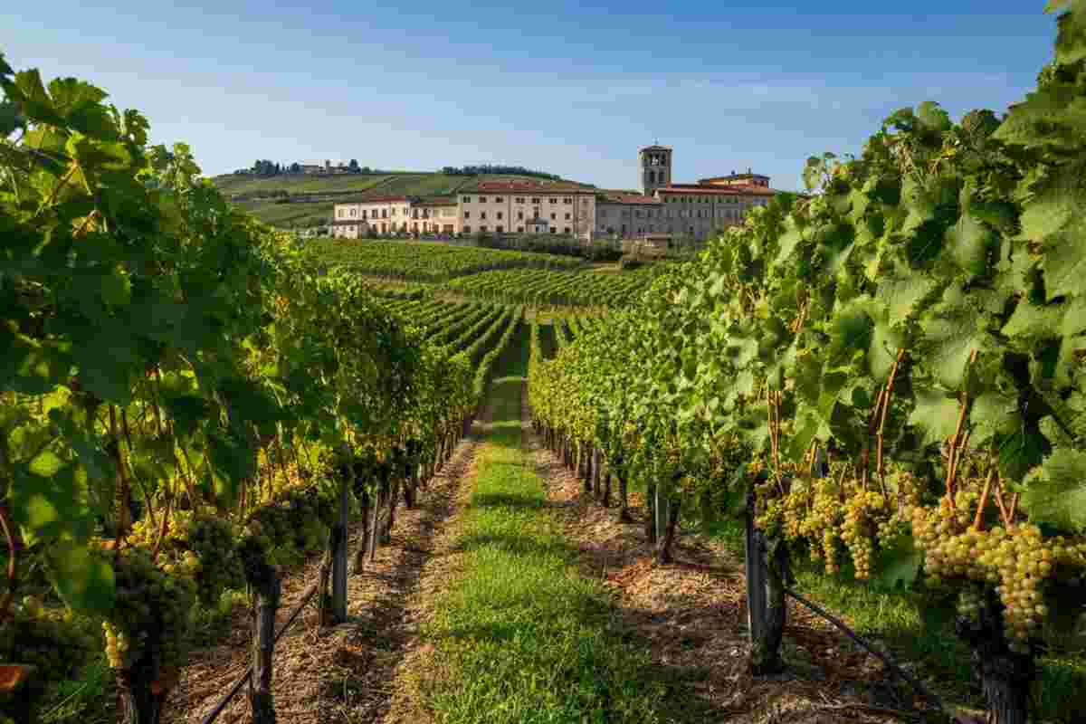 Castello Bonomi celebra 40 anni di vendemmia con un evento straordinario in Franciacorta