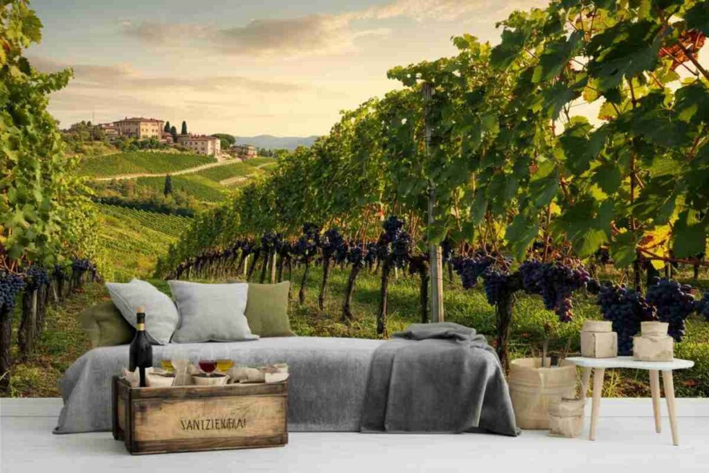 Dalla festa di ViVa a Sondrio al Lugana Sunset Tour: un caloroso addio all'estate e l'arrivo della vendemmia