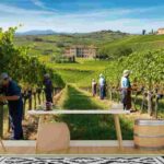Dazi USA sul vino italiano: cosa aspettarsi dal 7 agosto