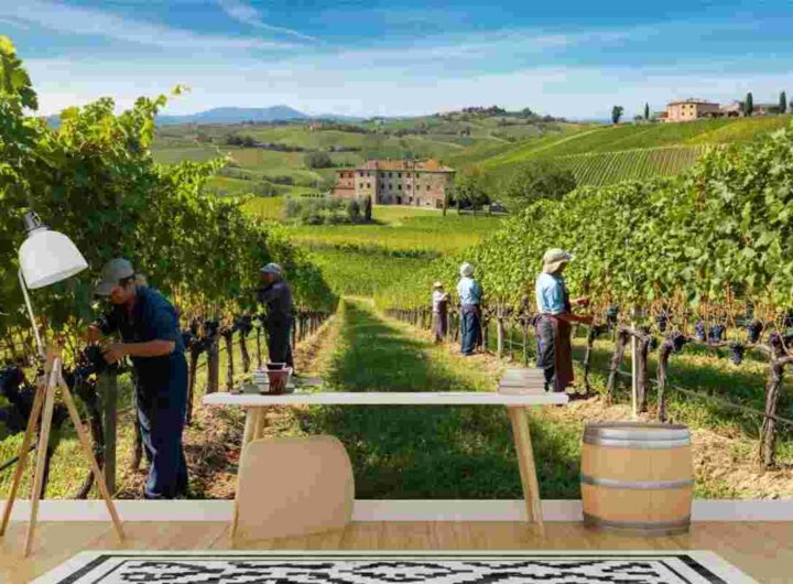 Dazi USA sul vino italiano: cosa aspettarsi dal 7 agosto
