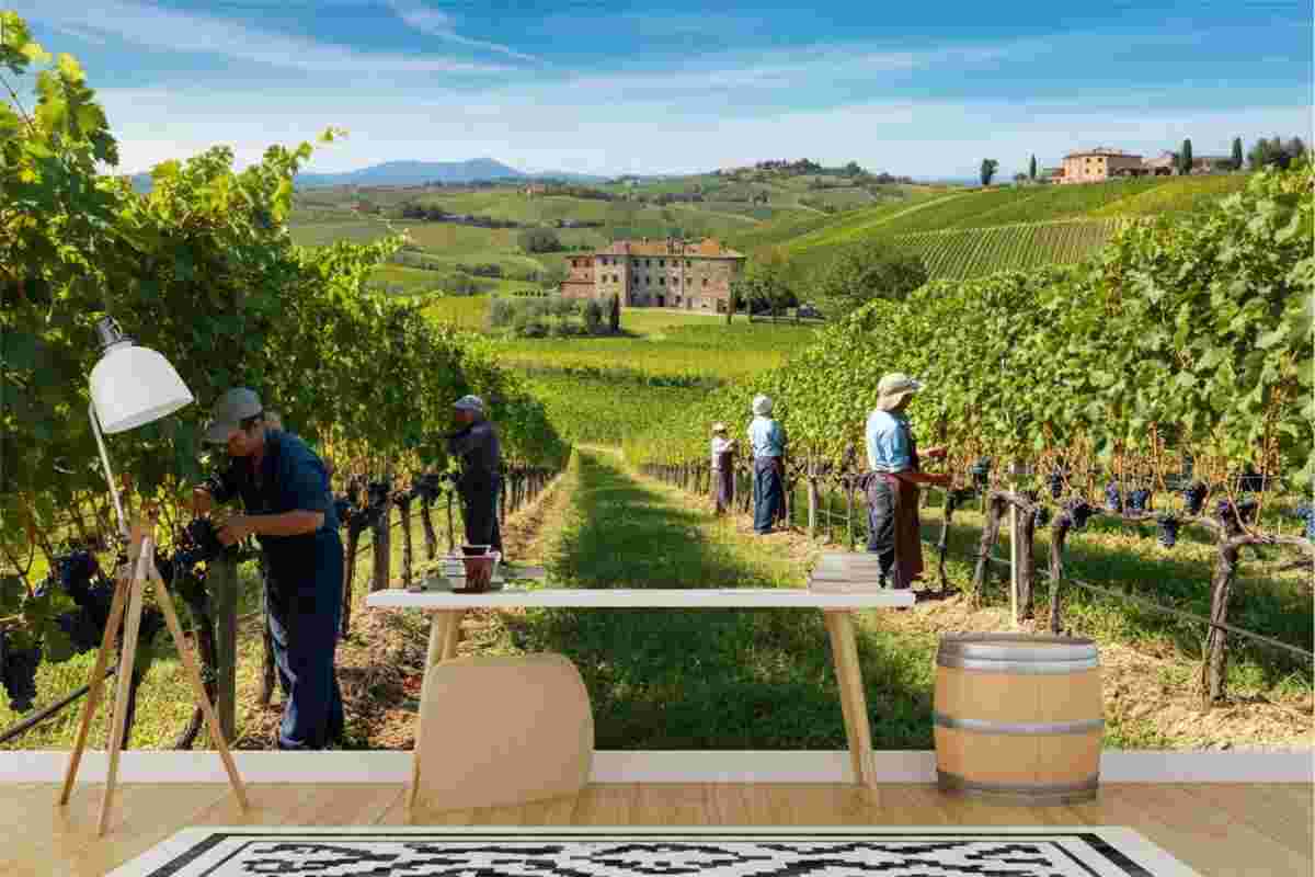 Dazi USA sul vino italiano: cosa aspettarsi dal 7 agosto