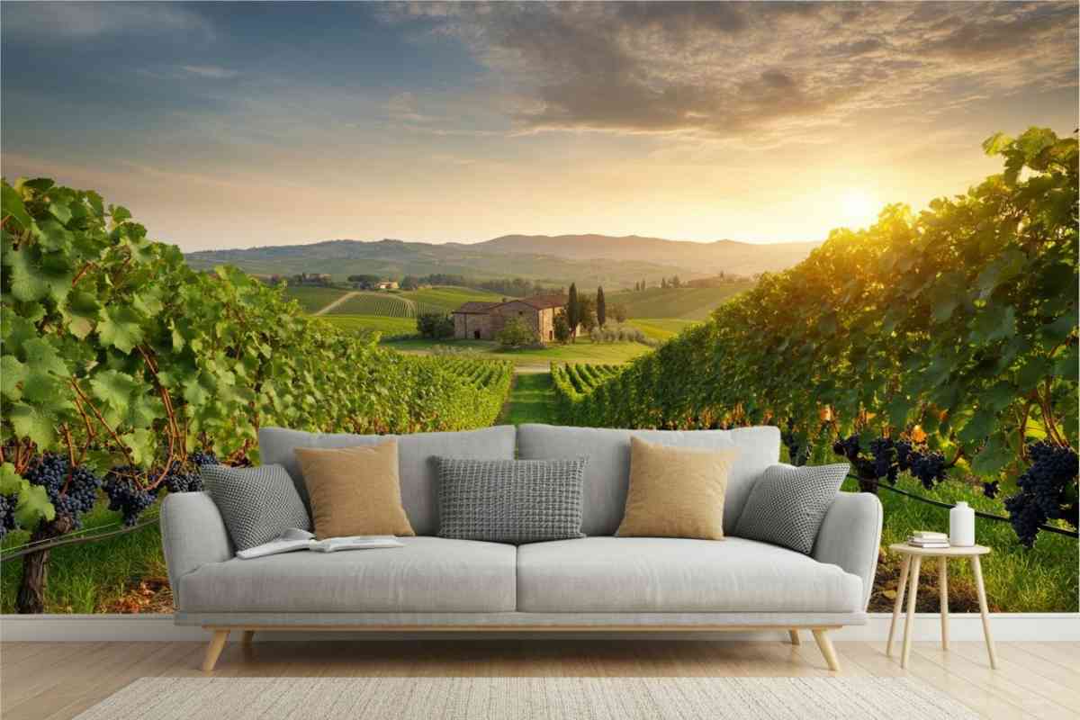 Dazi sul vino: il futuro dell'export Made in Italy a rischio negli Stati Uniti