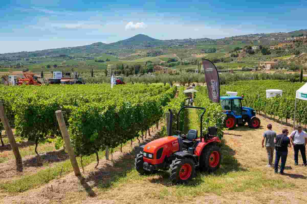 Enovitis in Sicilia: un trionfo che supera le aspettative
