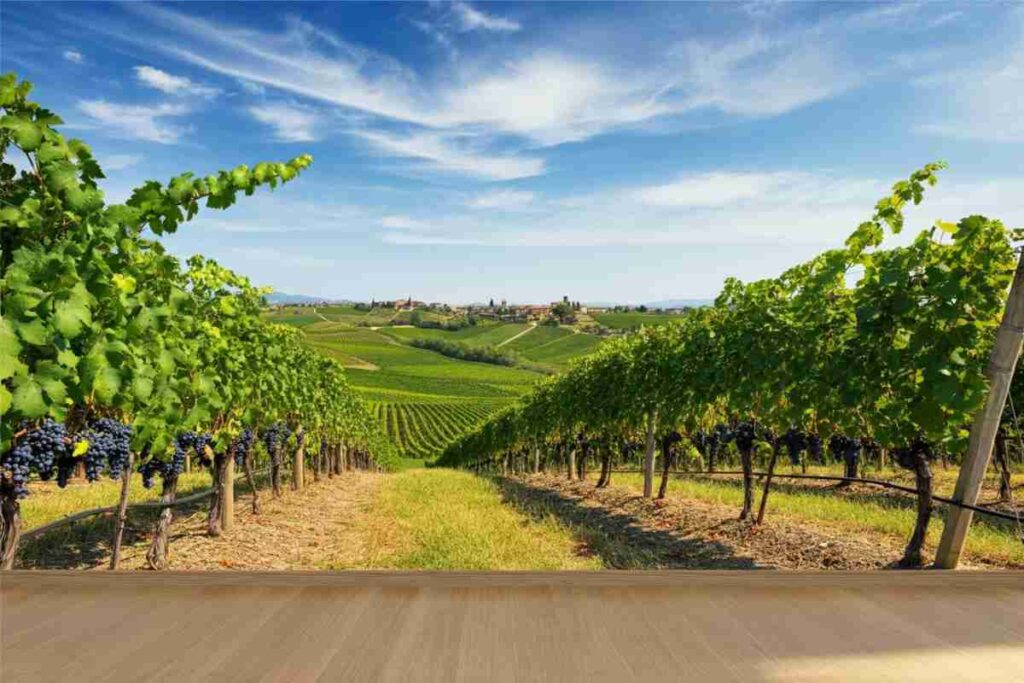 Gal Irpinia e Vinitaly International Academy: un connubio per la valorizzazione del territorio