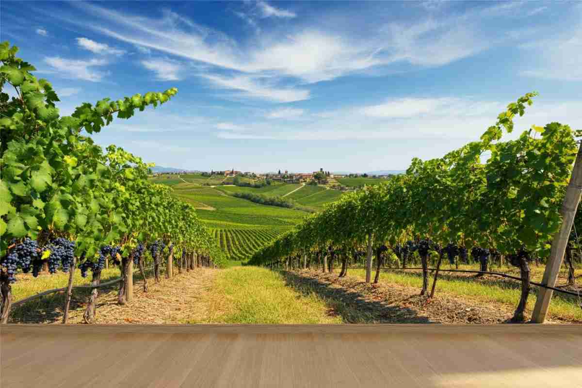 Gal Irpinia e Vinitaly International Academy: un connubio per la valorizzazione del territorio