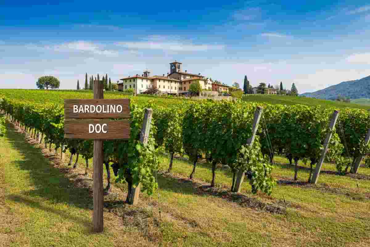 Il Consorzio del Bardolino ottiene il riconoscimento Erga Omnes per la sua Doc